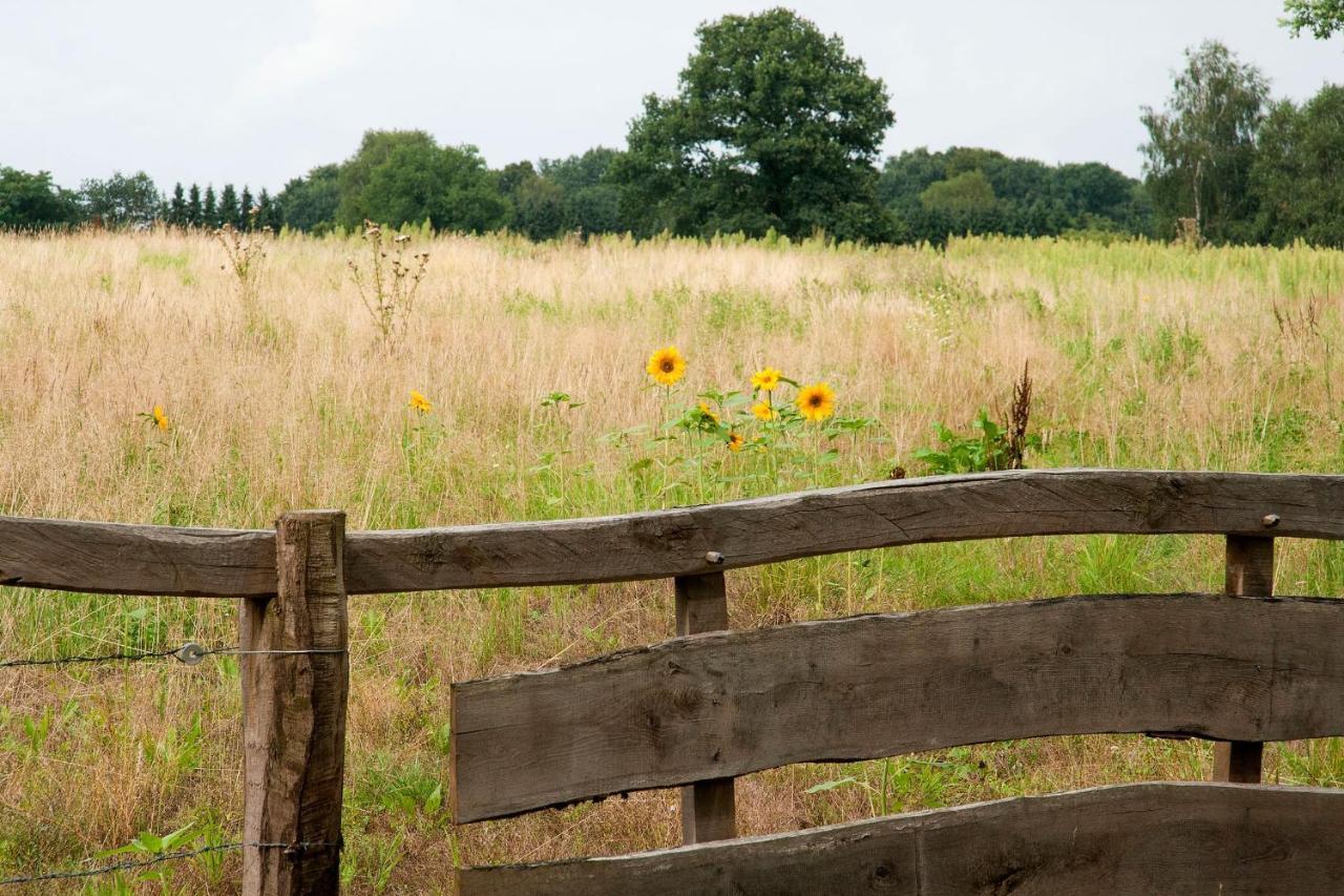 Hezingen Bed & Breakfast Hoeve Springendal المظهر الخارجي الصورة